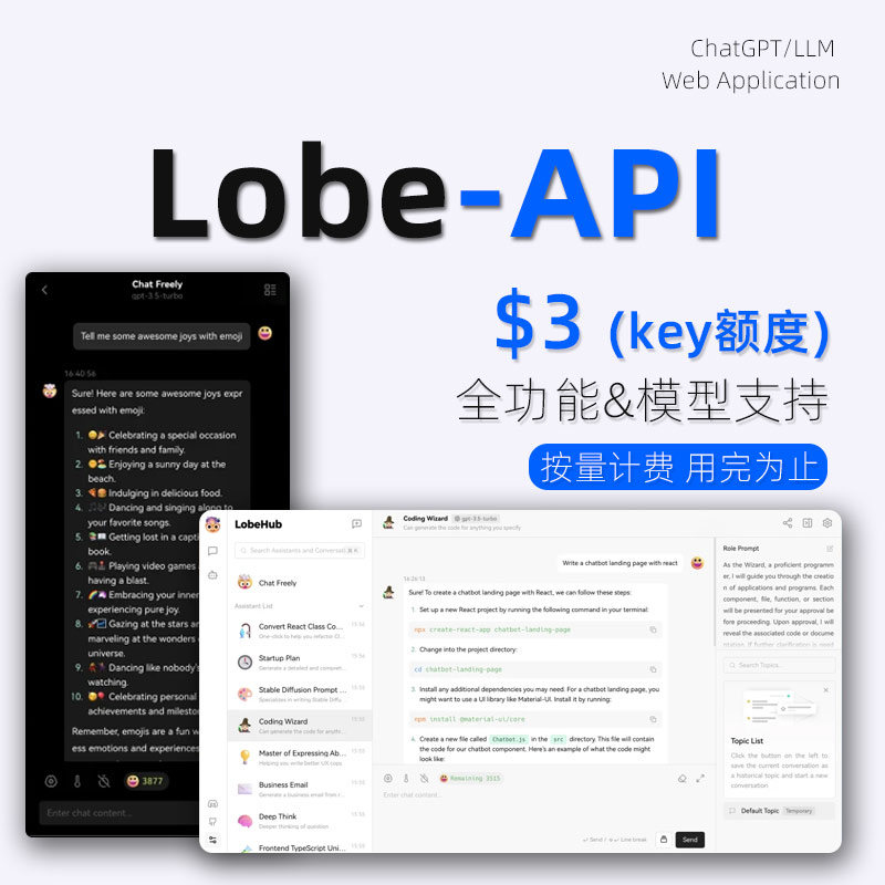 【$3 API Key】按量计费，小额尝鲜丨可在LobeChat直接使用，全功能、全模型可用。支持程序员外部开发调用等