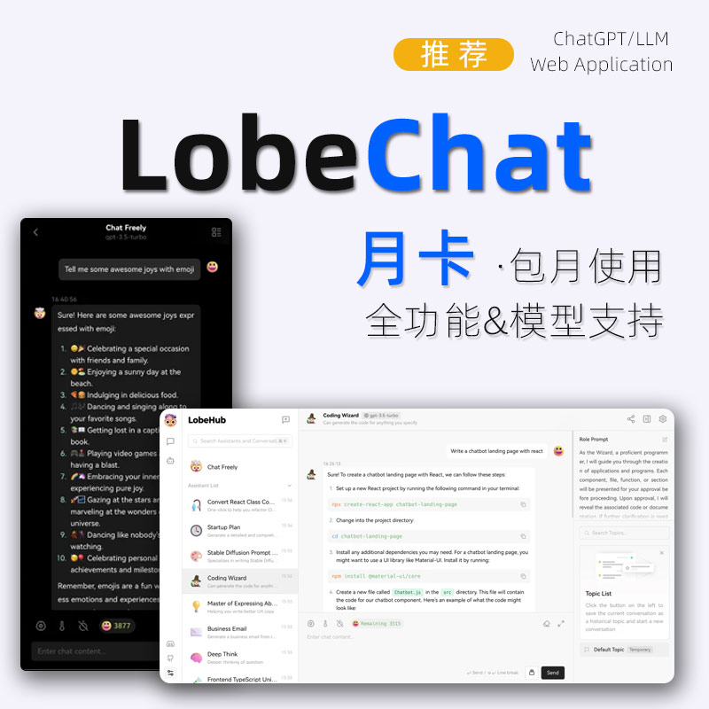 【月卡】LobeChat包月账户，包月使用不限次数和字数，支持电脑和手机端