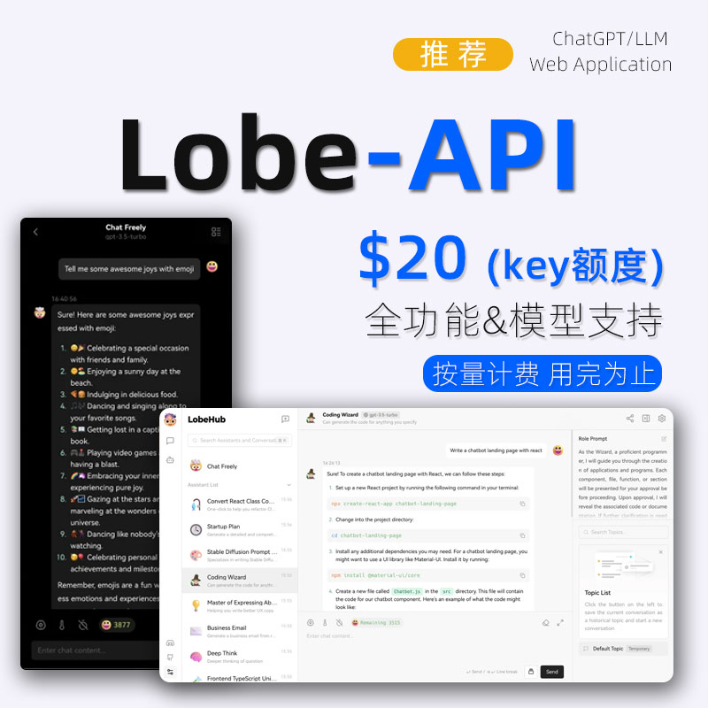 【$20 API Key】按量计费，可在LobeChat直接使用，全功能、全模型可用。支持程序员外部开发调用等